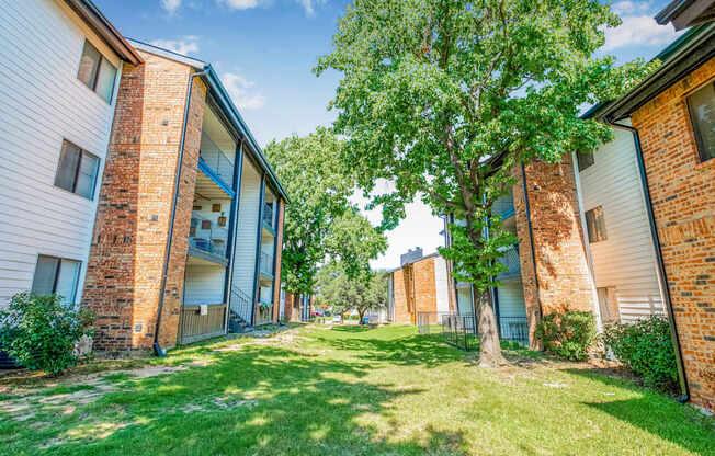 A tree in a grassy area in front of apartment buildings.