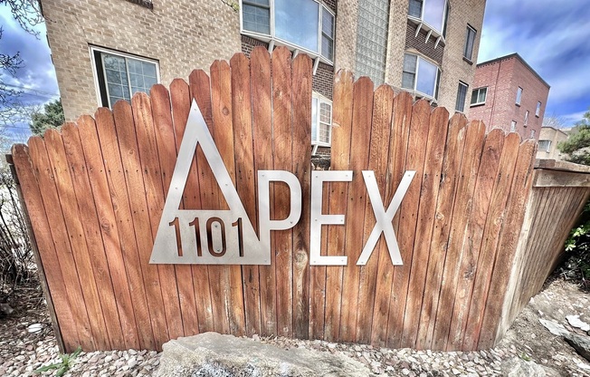 Apex 1101