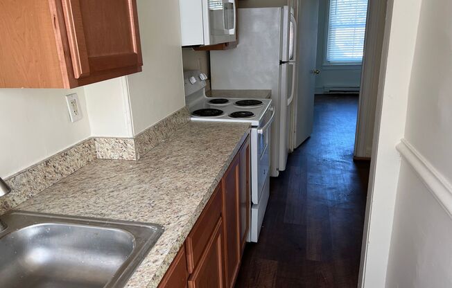 1 bed, 1 bath, $1,125