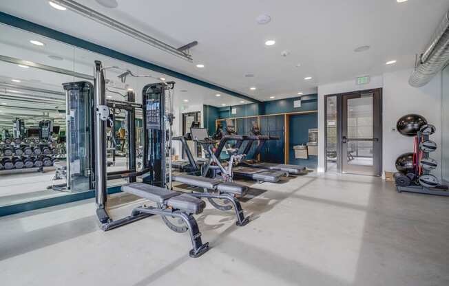 a gym with weights and cardio equipment