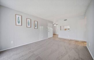 Boca Vista Apartments