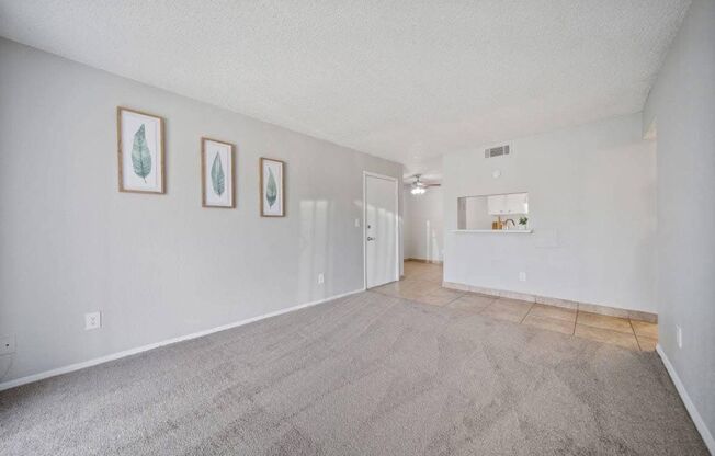 Boca Vista Apartments