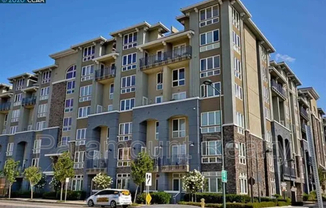 5501 DeMarcus Blvd., #644