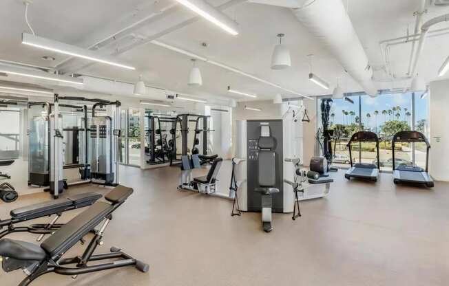 Equipped with Weight and Cardio Machines
