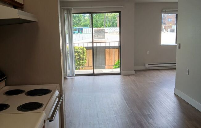 Studio, 1 bath, 480 sqft, $1,450, Unit 228