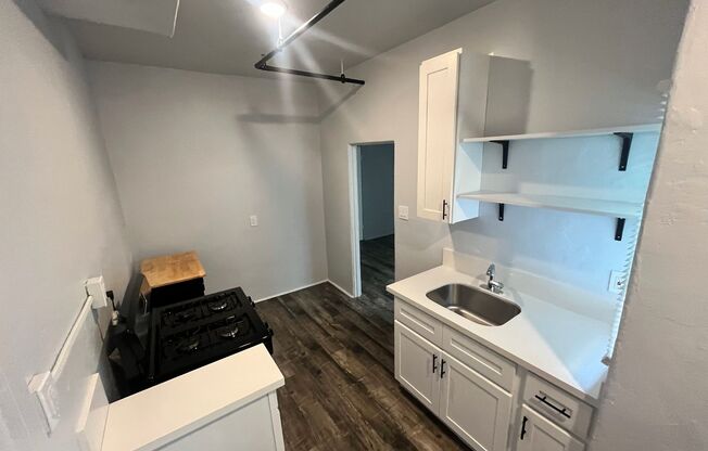 Studio, 1 bath, 425 sqft, $1,250, Unit 110