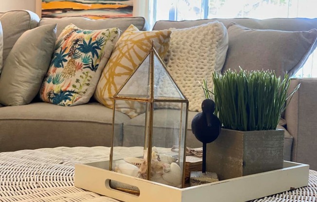 a living room with a couch and a coffee table with plants and a glass box