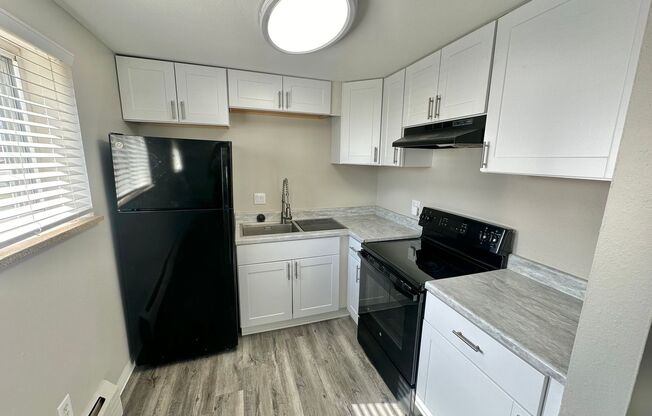 1 bed, 1 bath, 600 sqft, $1,345