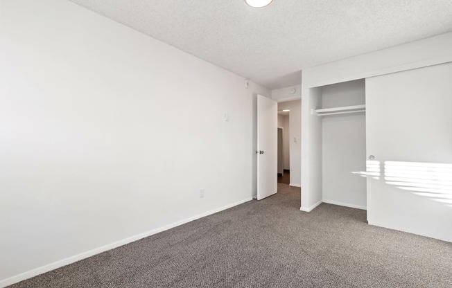 a spacious living room with carpeting and a door to a closet