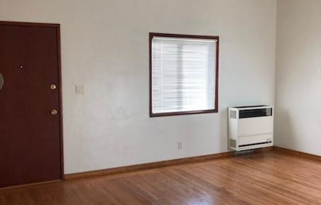 One-bedroom apartment in North Berkeley between Shattuck and Walnut.