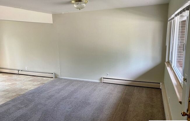 1101 Ponderosa Dr