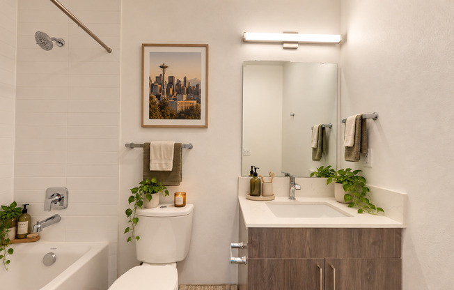 Studio, 1 bath, 365 sqft, $1,380, Unit 205