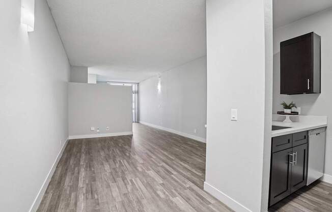 A kitchen area with a counter and cabinets.