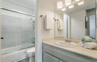 1 bed, 1 bath, $2,500, Unit Unit 227