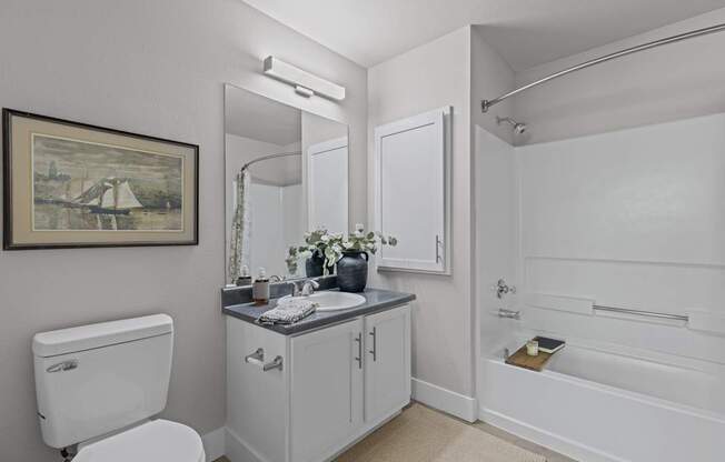 a bathroom with a toilet sink and a shower and a mirror