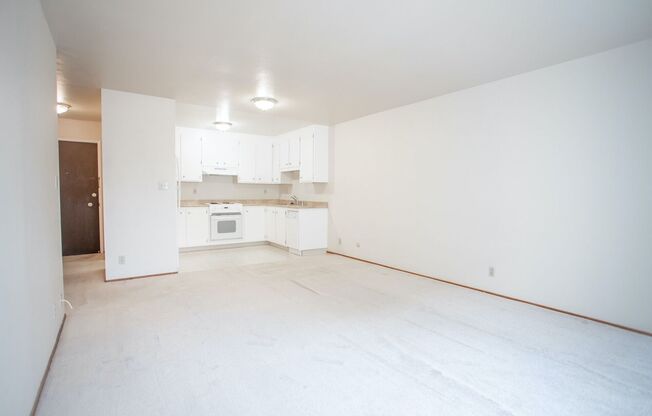 1 bed, 1 bath, $1,695