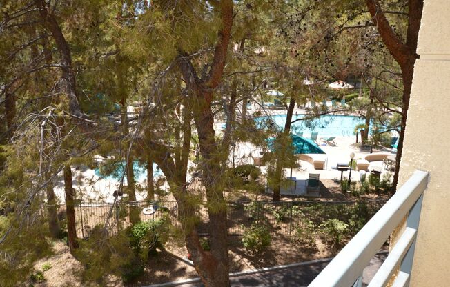 1 bed, 1 bath, $1,500, Unit 231