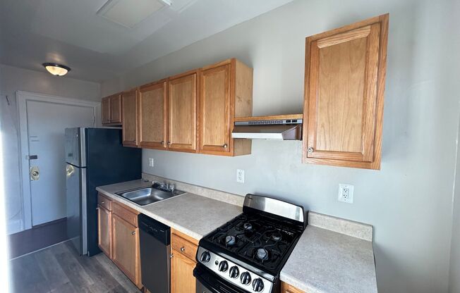 Studio, 1 bath, 310 sqft, $1,250, Unit 301