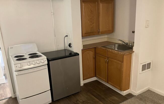 Studio, 1 bath, 182 sqft, $1,000, Unit 003