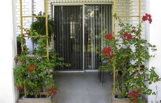 a view of the front door of a house with flowers in front of it
