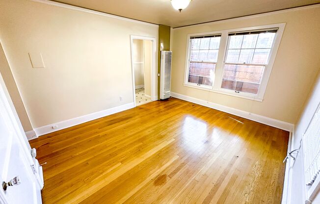 Studio, 1 bath, 365 sqft, $995, Unit 111