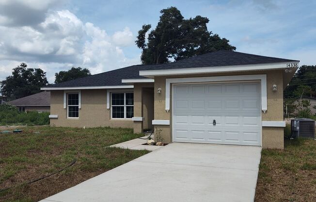 JUST REDUCED - NEW CONSTRUCTION HOME SUMMERFIELD (OM680680)