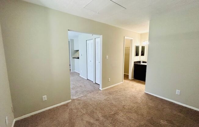 Studio, 1 bath, 480 sqft, $949, Unit 127428