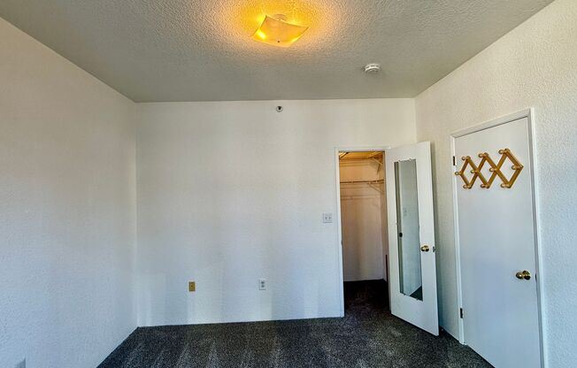 1 bed, 1 bath, $2,900, Unit # 511