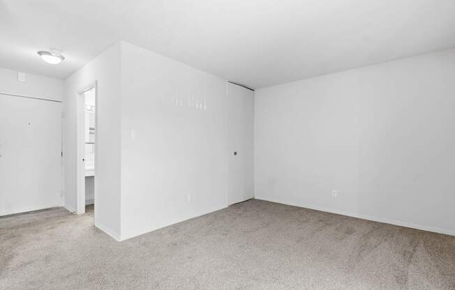 A white room with a carpeted floor and a door on the left.