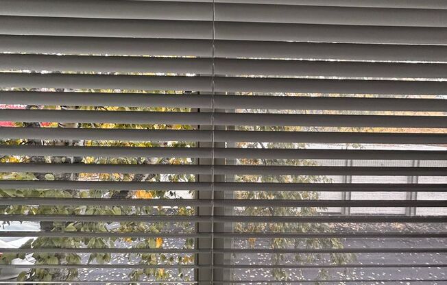 1 bed, 1 bath, 660 sqft, $1,250, Unit W - 043