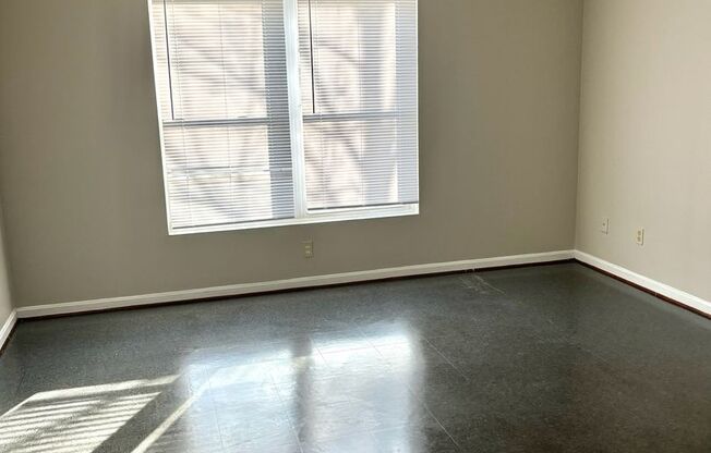 Updated first floor 1 bedroom apartment in West Louisville- Section 8 accepted