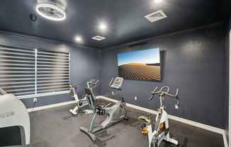 Cardio Cinema / Fitness Center