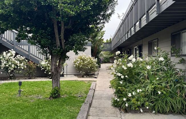 921 University Avenue