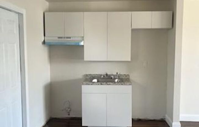 LARGE NEWLY RENOVATED 2 BEDROOM APARTMENTS