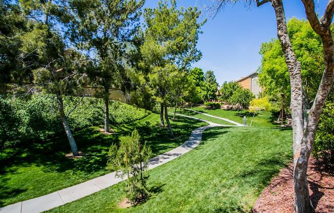 a walkway through a park with trees and grass