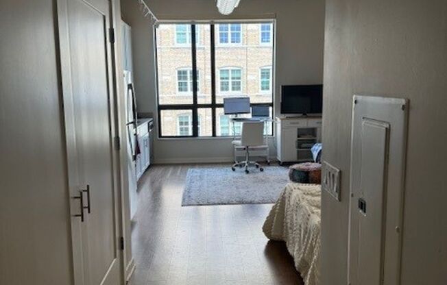 Studio, 1 bath, 452 sqft, $1,250, Unit 309