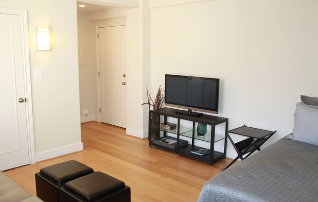 Studio, 1 bath, 487 sqft, $2,175, Unit 502