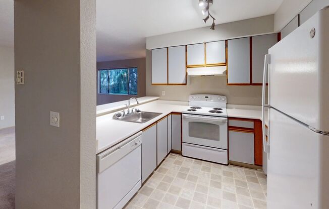 Studio, 1 bath, 506 sqft, $1,695, Unit 310