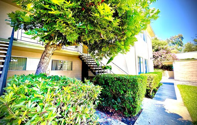 850 Eucalyptus Ave, Vista CA 92084