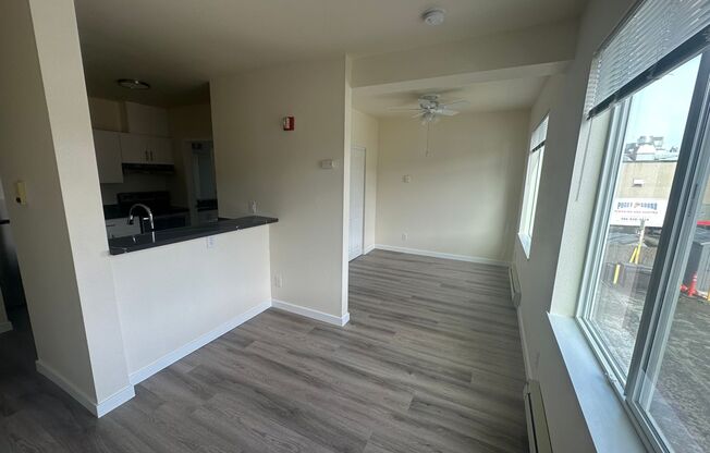 Studio, 1 bath, 462 sqft, $1,495, Unit 221