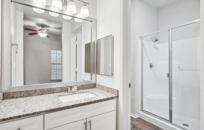 a bathroom with a sink and a shower and a mirror at La Ventura Apartments, Plano, TX, 75093