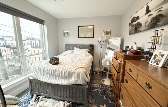 1 bed, 1 bath, 640 sqft, $3,395, Unit 310