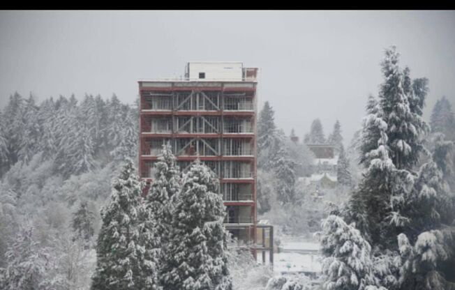 Studio, 1 bath, 346 sqft, $1,750, Unit 410-510