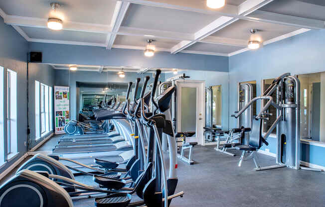 a row of exercise bikes in a gym