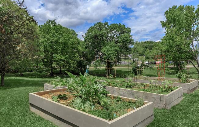 spend time at the community vegetable garden