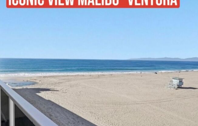 1 bed, 2 baths, 1,000 sqft, $5,995, Unit 306