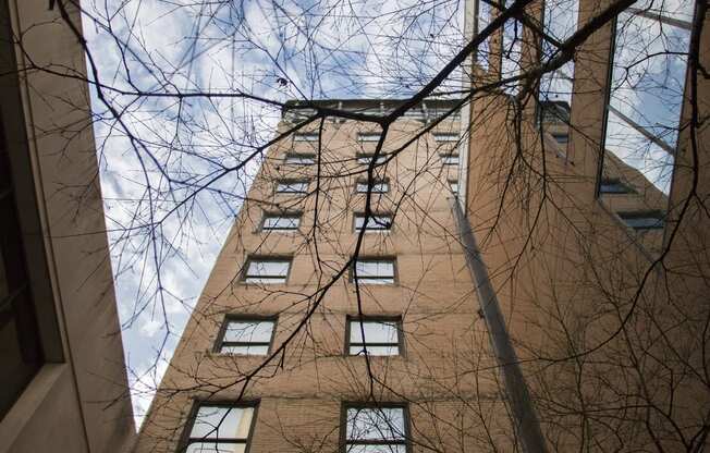 Building View at The Lady, Columbia, SC, 29201