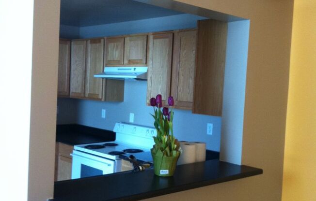 Victor Clothing Apartments