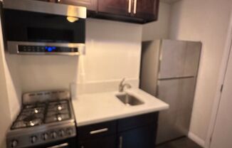 1 bed, 1 bath, 450 sqft, $1,750, Unit 1