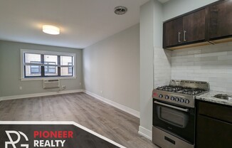 445 W BARRY 509